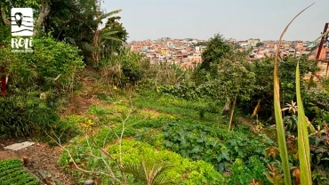 Ângela de Cara Limpa | Jardim Ângela